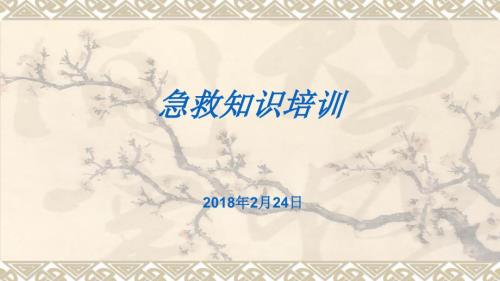 急救知识培训心肺复苏.ppt