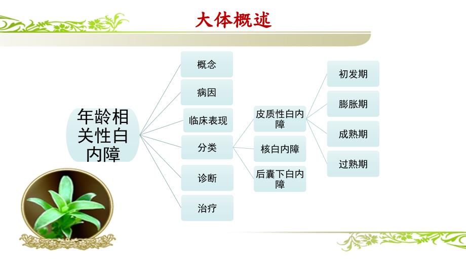 白内障ppt课件.pptx_第2页