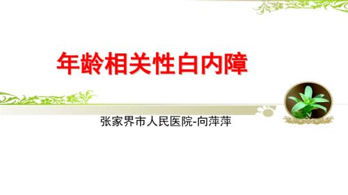 白内障ppt课件.pptx