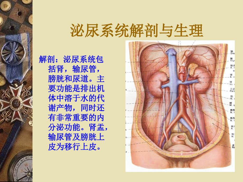 泌尿系结石的诊治PPT.ppt_第2页