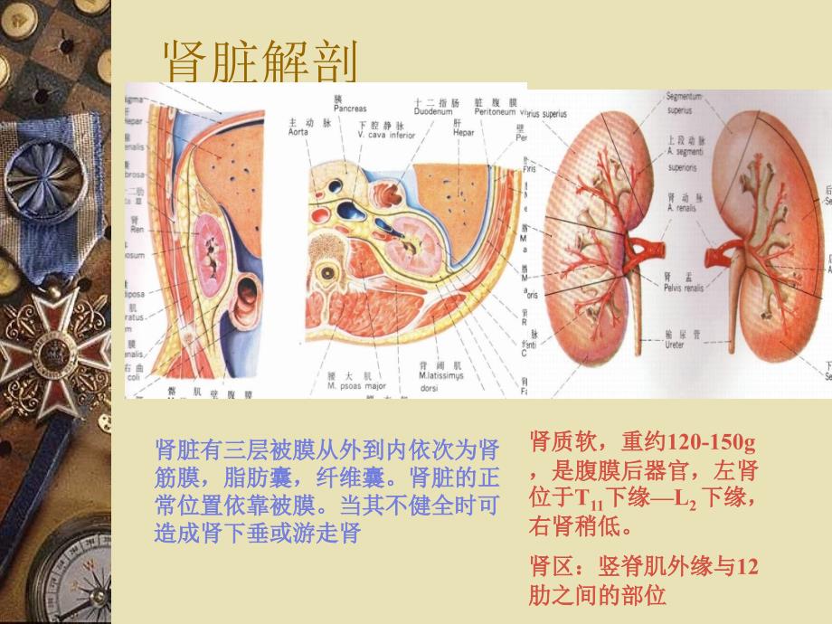 泌尿系结石的诊治PPT.ppt_第3页