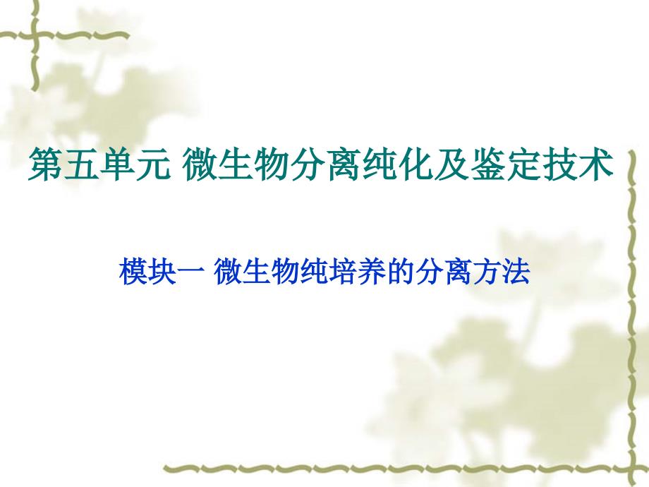 微生物纯培养的分离方法.ppt_第1页