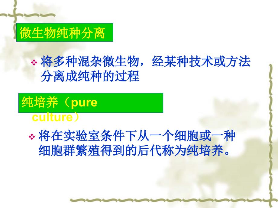 微生物纯培养的分离方法.ppt_第2页