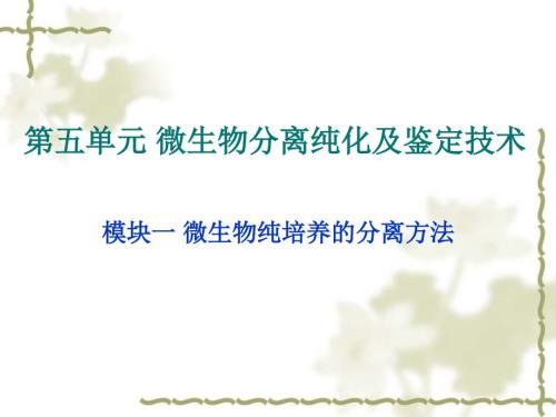 微生物纯培养的分离方法.ppt