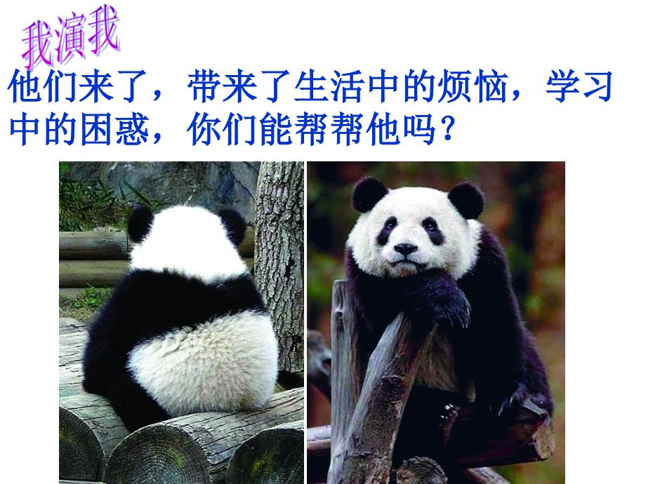 心灵沟通的力量主题班会.ppt_第3页