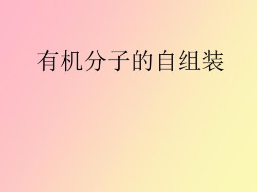 有机分子基底和无基底上的自组装.ppt