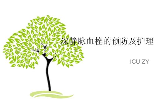 深静脉血栓的预防及护理ppt课件.ppt