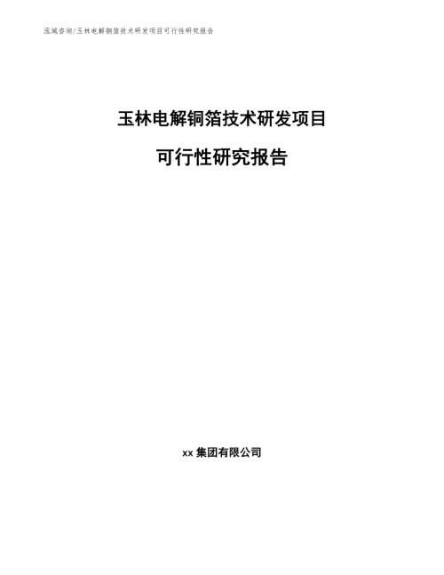 玉林电解铜箔技术研发项目可行性研究报告范文模板.docx