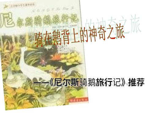 尼尔斯骑鹅旅行记PPT课件.ppt