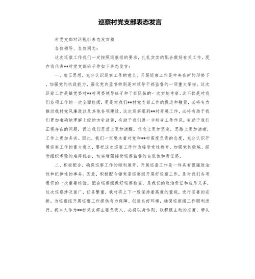 巡察村党支部表态发言.docx