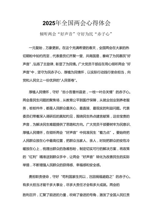 企业2025年两会发言稿6篇.docx