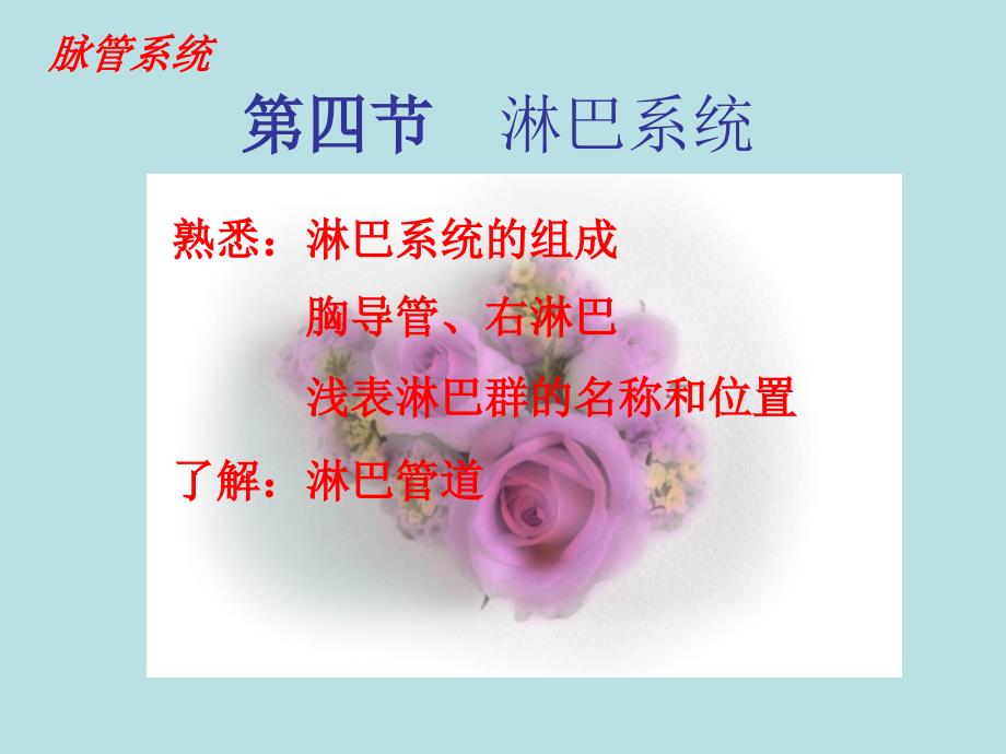 淋巴系统PPT课件.ppt_第1页