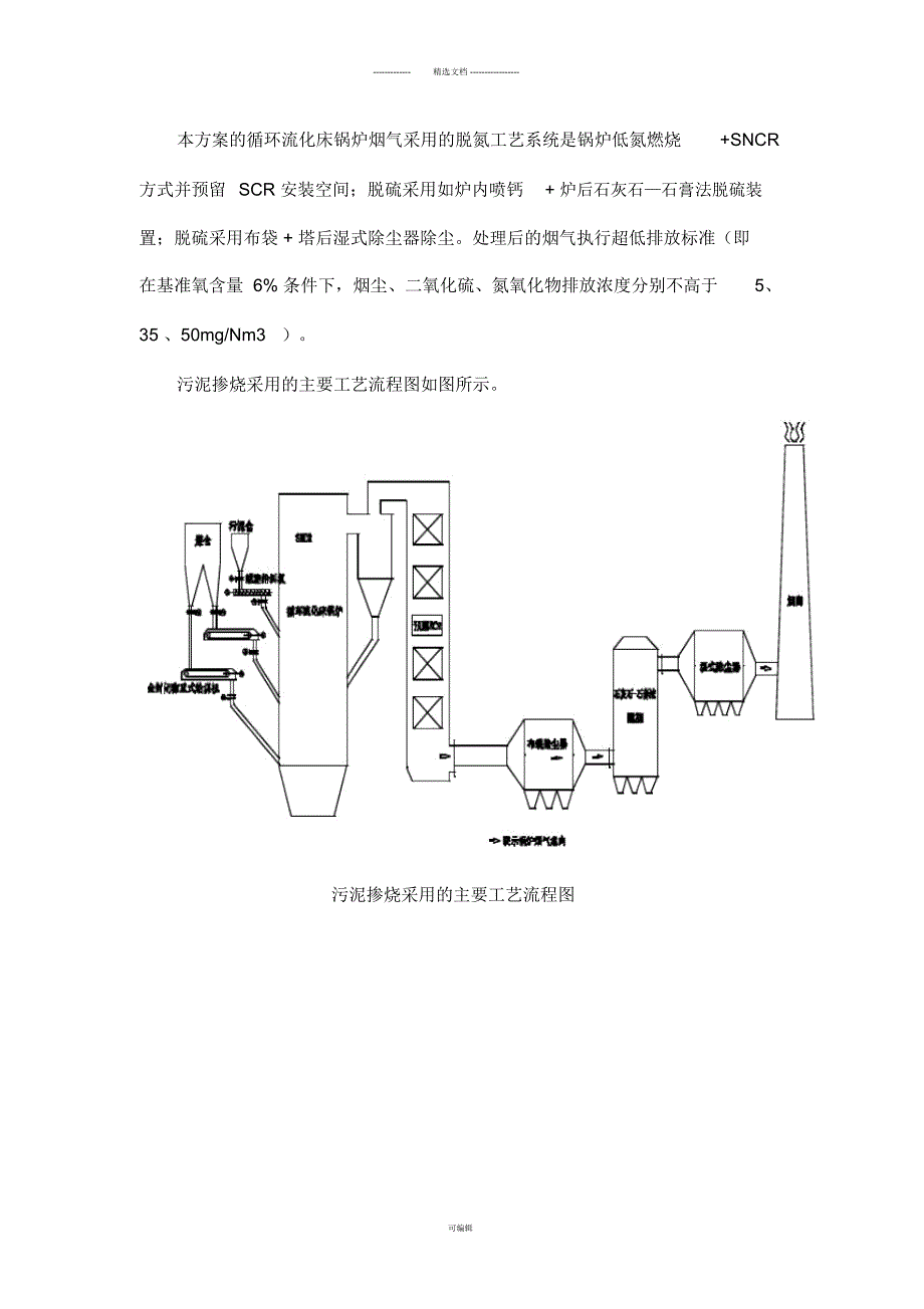热电联产污泥掺烧工艺方案.docx_第2页