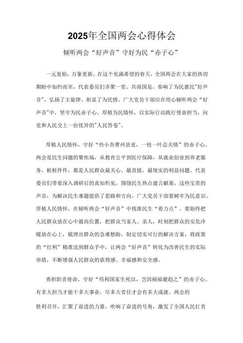 2025年全国两会发言稿材料6篇.docx