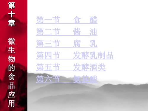微生物的应用PPT课件.ppt