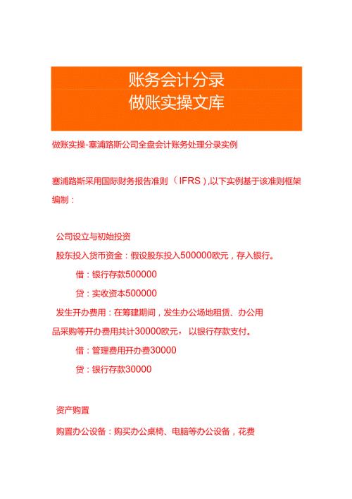 做账实操塞浦路斯公司全盘会计账务处理分录实例.docx