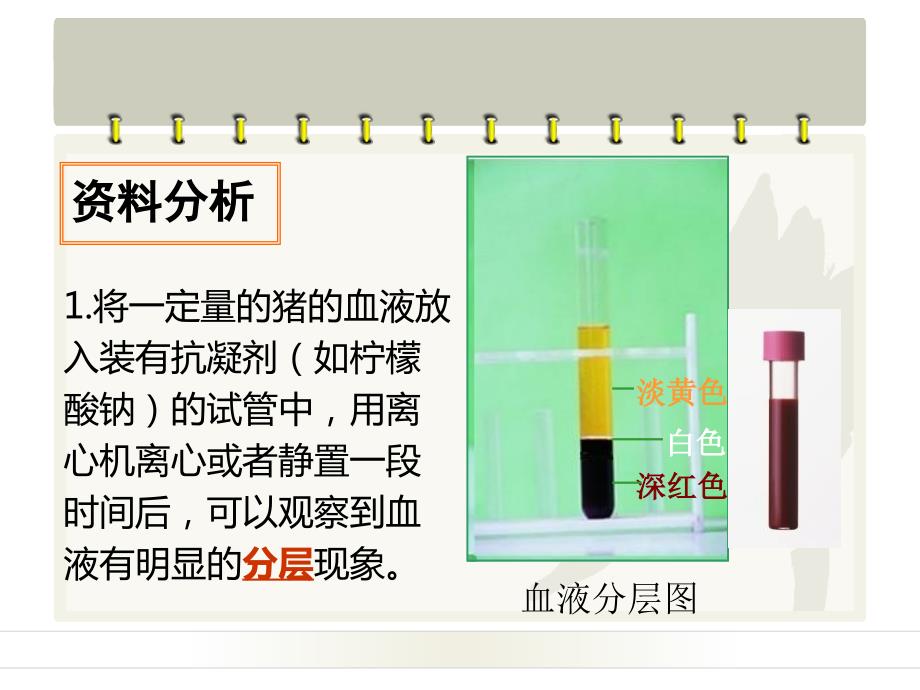 流动的组织血液PPT课件.ppt_第3页