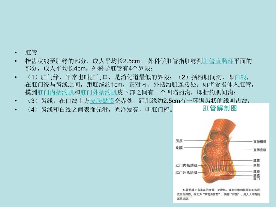 混合痔ppt课件.ppt_第3页