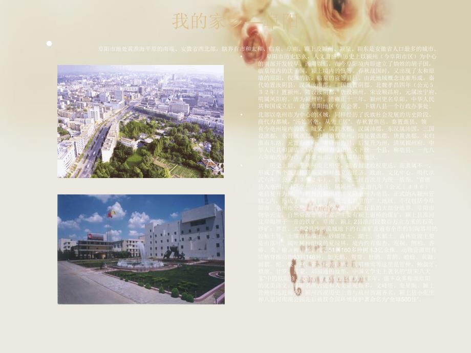我的家乡阜阳.ppt.ppt_第1页