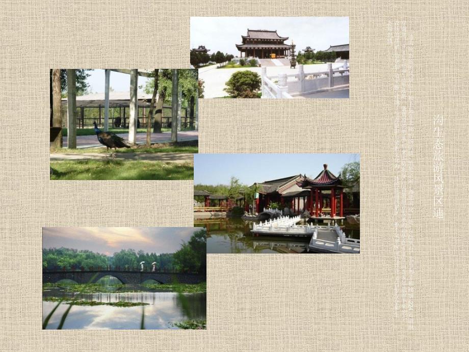 我的家乡阜阳.ppt.ppt_第3页