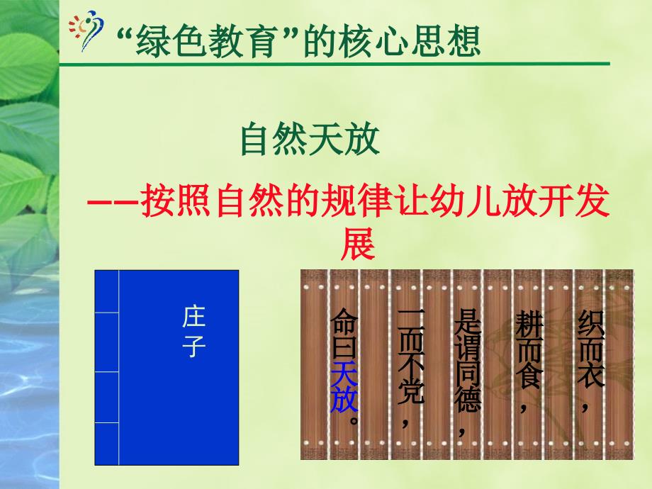 幼儿园绿色教育课程资源的有效开发与利用.ppt_第2页