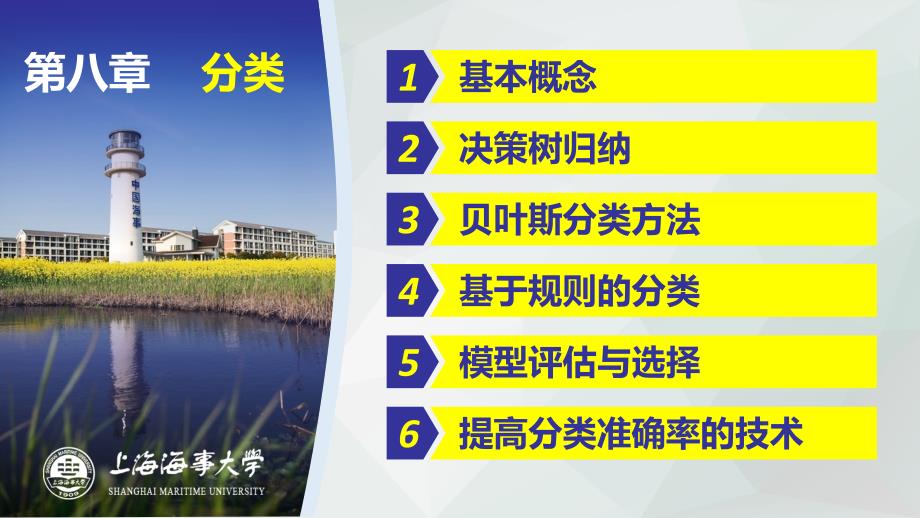 数据挖掘第8章分类基本概念.ppt_第2页