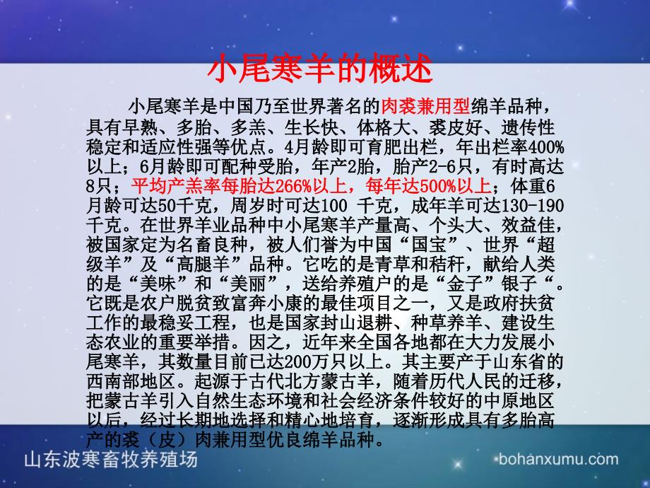 小尾寒羊介绍PPT课件.ppt_第3页