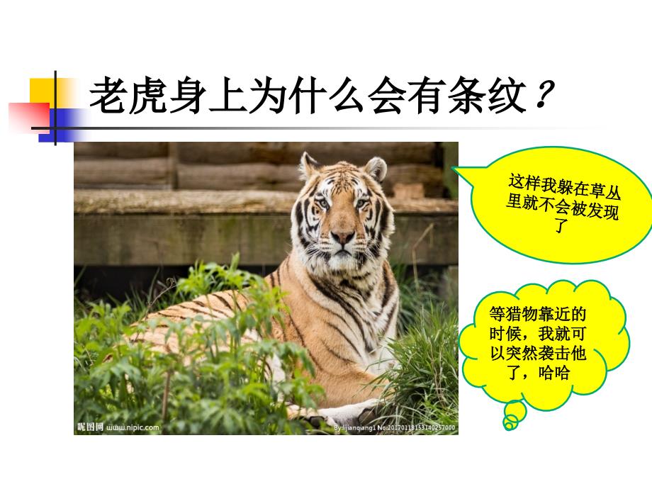 幼儿园家长进课堂PPT讲稿.ppt_第2页