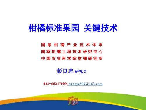 柑橘标准果园关键技术.ppt