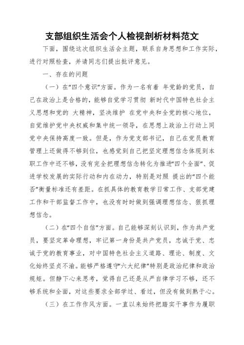 支部组织生活会个人检视剖析材料范文.docx