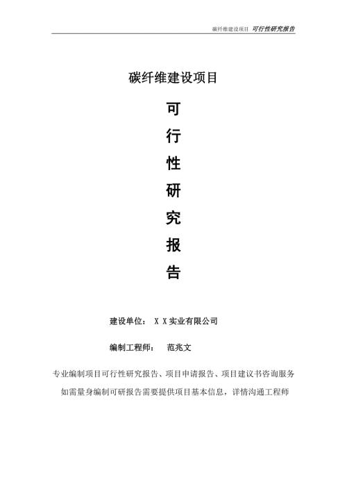 碳纤维项目可行性研究报告完整可修改版.doc