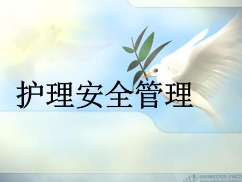 护理安全管理PPT课件.ppt