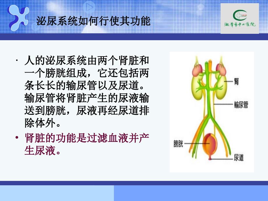 急性肾小球肾炎的护理.ppt_第2页