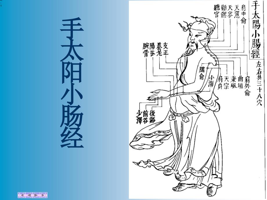 手太阳小肠经PPT课件.ppt_第1页