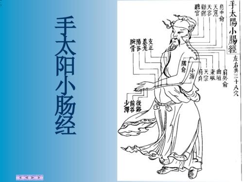 手太阳小肠经PPT课件.ppt