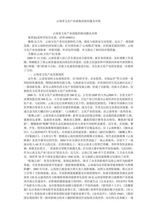文化研究论文云南省文化产业面临的新问题及对策.doc