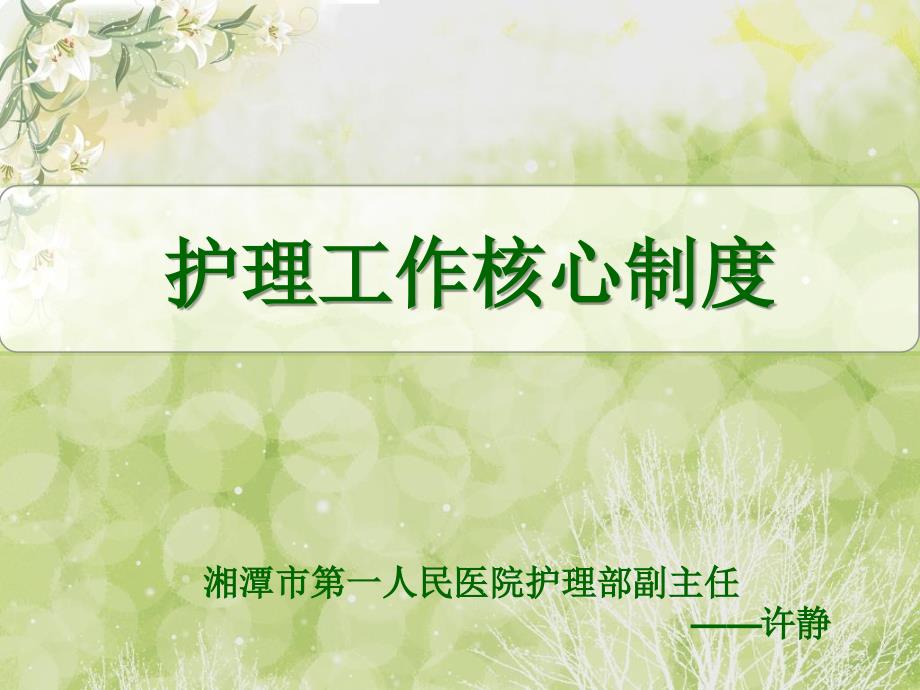 护理工作核心制度PPT课件.ppt_第1页