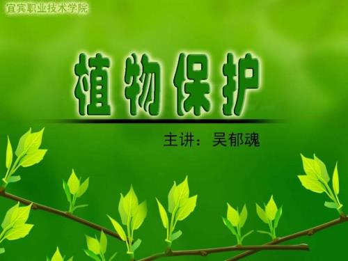 植物保护学通论PPT课件.ppt
