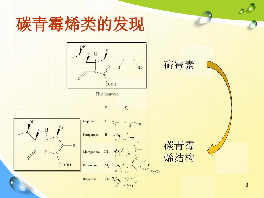 碳青霉烯类抗生素PPT演示课件.ppt_第3页