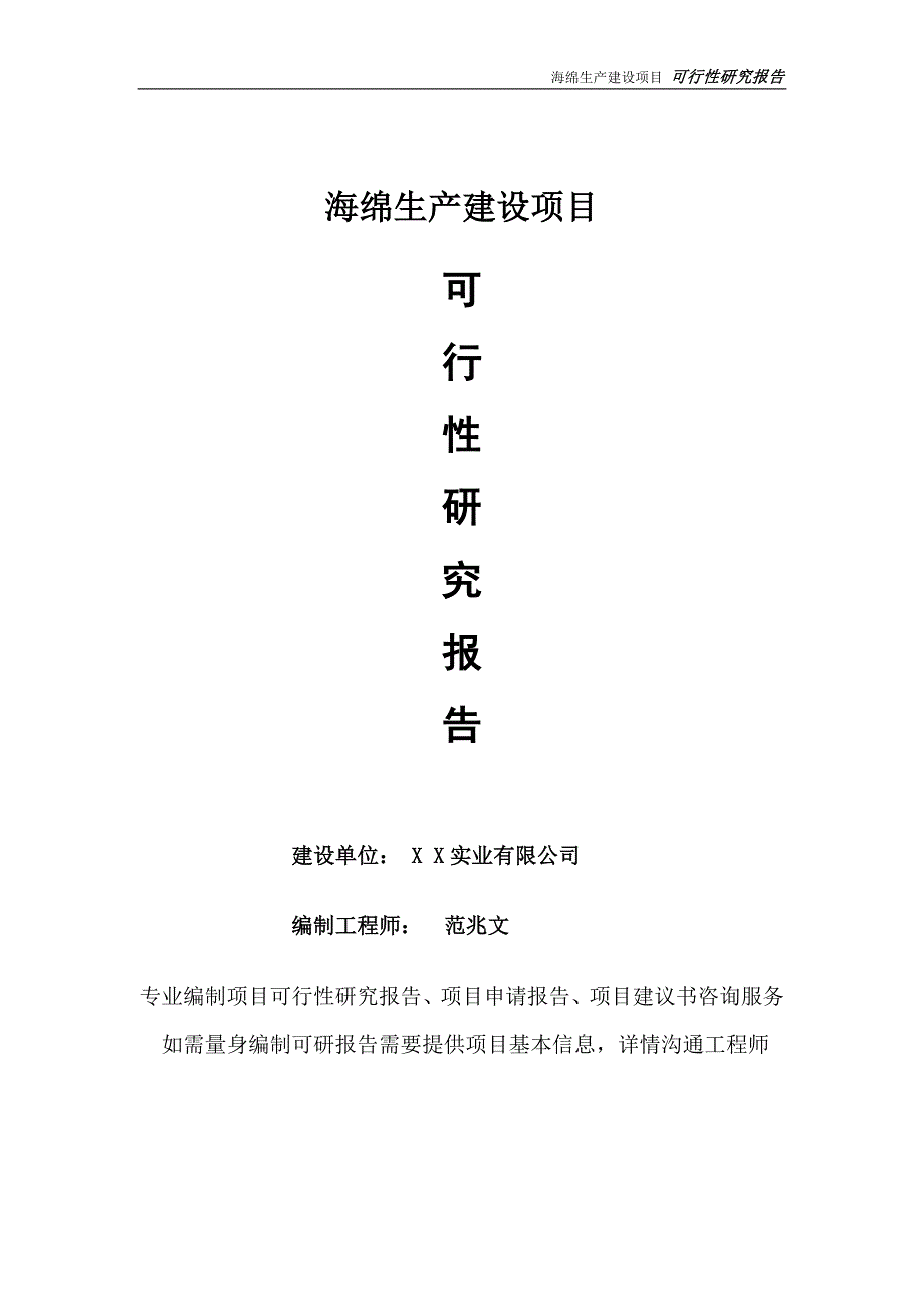 海绵生产项目可行性研究报告完整可修改版.doc_第1页