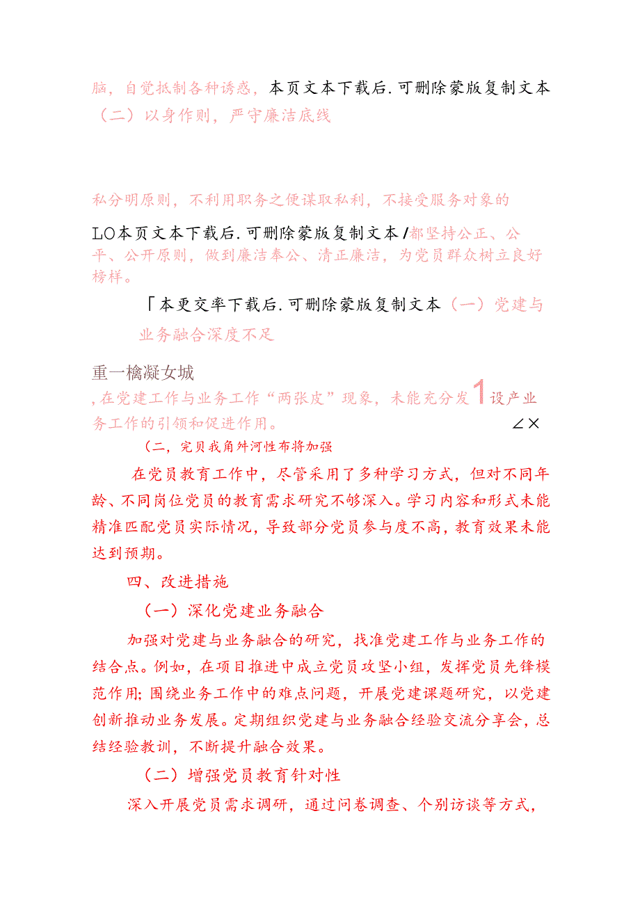 2025 年党支部副书记述职述廉报告.docx_第3页