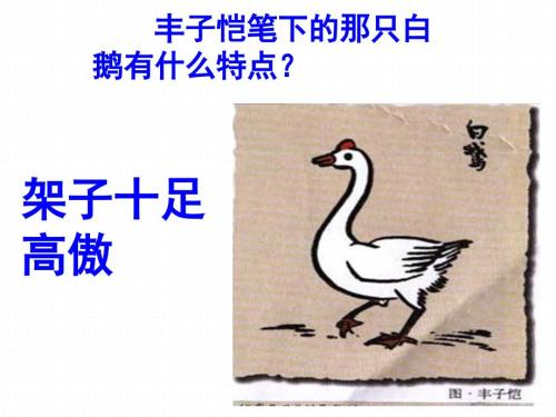 白公鹅完整PPT课件.ppt