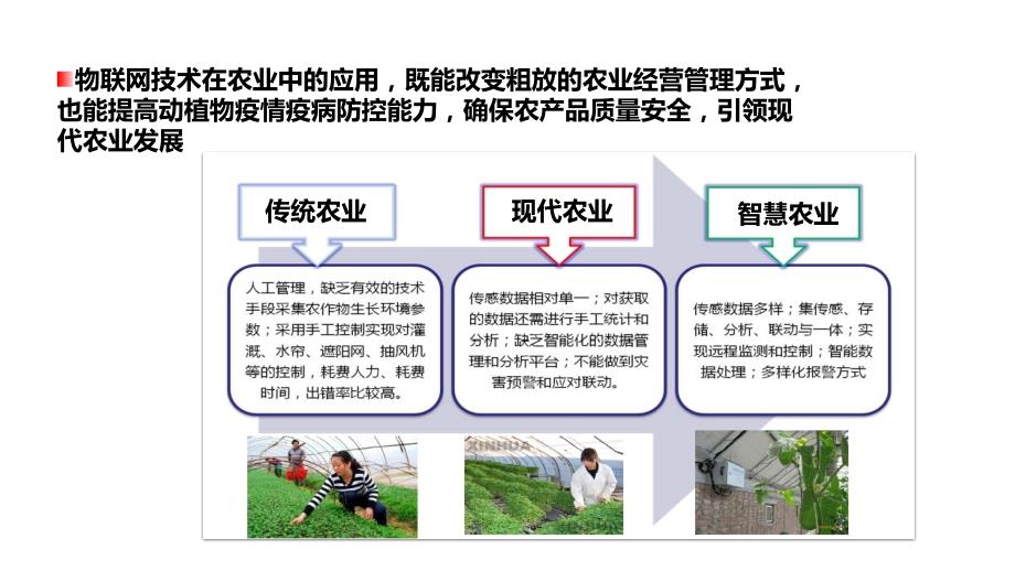 智慧农业整体解决方案.pptx_第3页