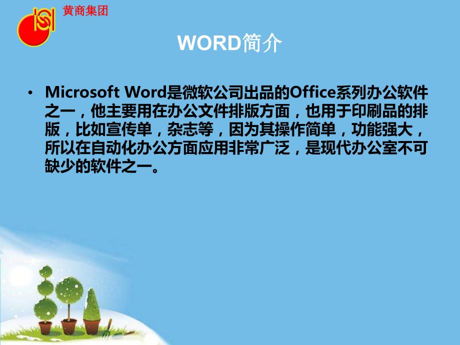 常用办公软件基本操作.ppt_第2页