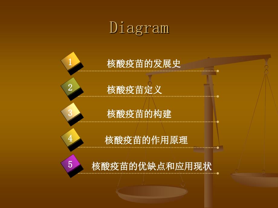 核酸疫苗及免疫研究进展.ppt_第2页