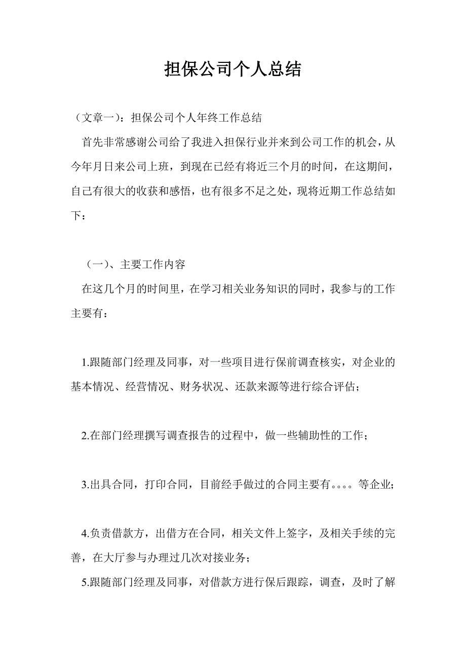 担保公司个人总结最新总结.doc_第1页