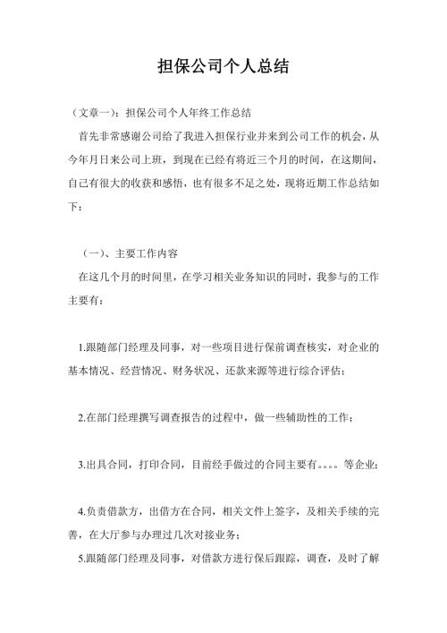 担保公司个人总结最新总结.doc