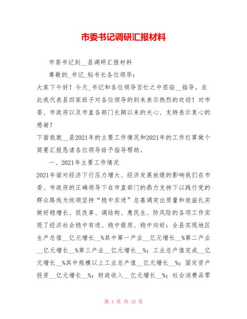 市委书记调研汇报材料.doc