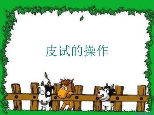 操作皮试的操作课件.ppt