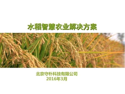 水稻项目智慧农业解决方案.ppt